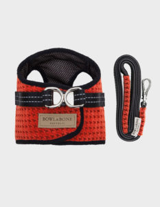 HUNDEGESCHIRR SOHO ORANGE MIT LEINE VON BOWL AND BONE REPUBLIC