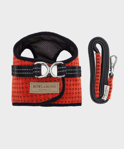 HUNDEGESCHIRR SOHO ORANGE MIT LEINE VON BOWL AND BONE REPUBLIC