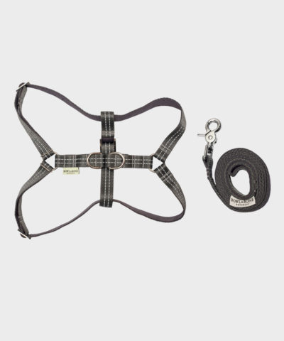 HUNDEGESCHIRR ACTIVE GREY MIT LEINE VON BOWL AND BONE REPUBLIC