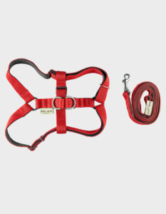 HUNDEGESCHIRR ACTIVE RED MIT LEINE VON BOWL AND BONE REPUBLIC