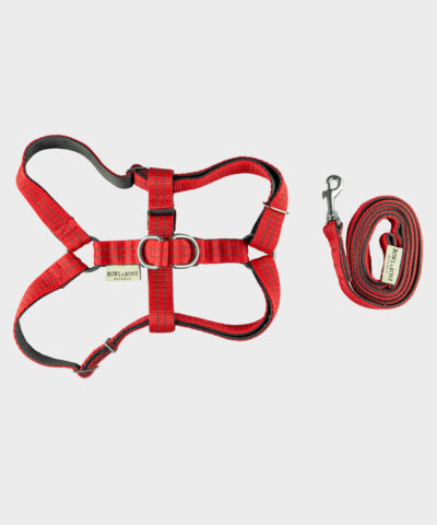 HUNDEGESCHIRR ACTIVE RED MIT LEINE VON BOWL AND BONE REPUBLIC