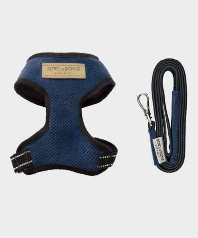 HUNDEGESCHIRR CANDY BLUE MIT LEINE VON BOWL AND BONE REPUBLIC