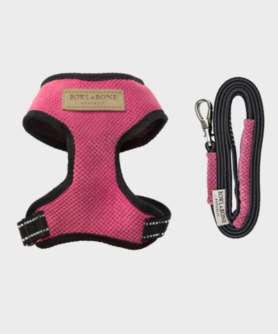 HUNDEGESCHIRR CANDY PINK MIT LEINE VON BOWL AND BONE REPUBLIC