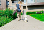 HUNDEMATTE LOFT GRAPHIT VON BOWL AND BONE REPUBLIC