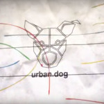 UrbanDog Logo anmiert