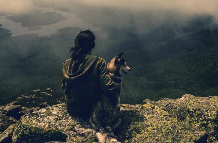 Wer ist eigentlich auf den Hund gekommen? Der Mensch und seine Haushunde. Haushund: Mensch und Hund