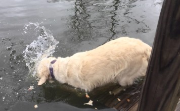 Bitte Ruhe. Bin gerade beim fischen!
