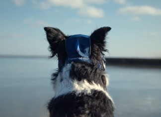Volkswagen - The Connected Dog - Gassi gehen der Zukunft