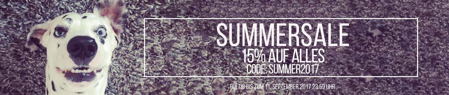 Das 1 Lifestyle Hundemagazin und Hunderatgeber für Hundefreunde UrbanDog