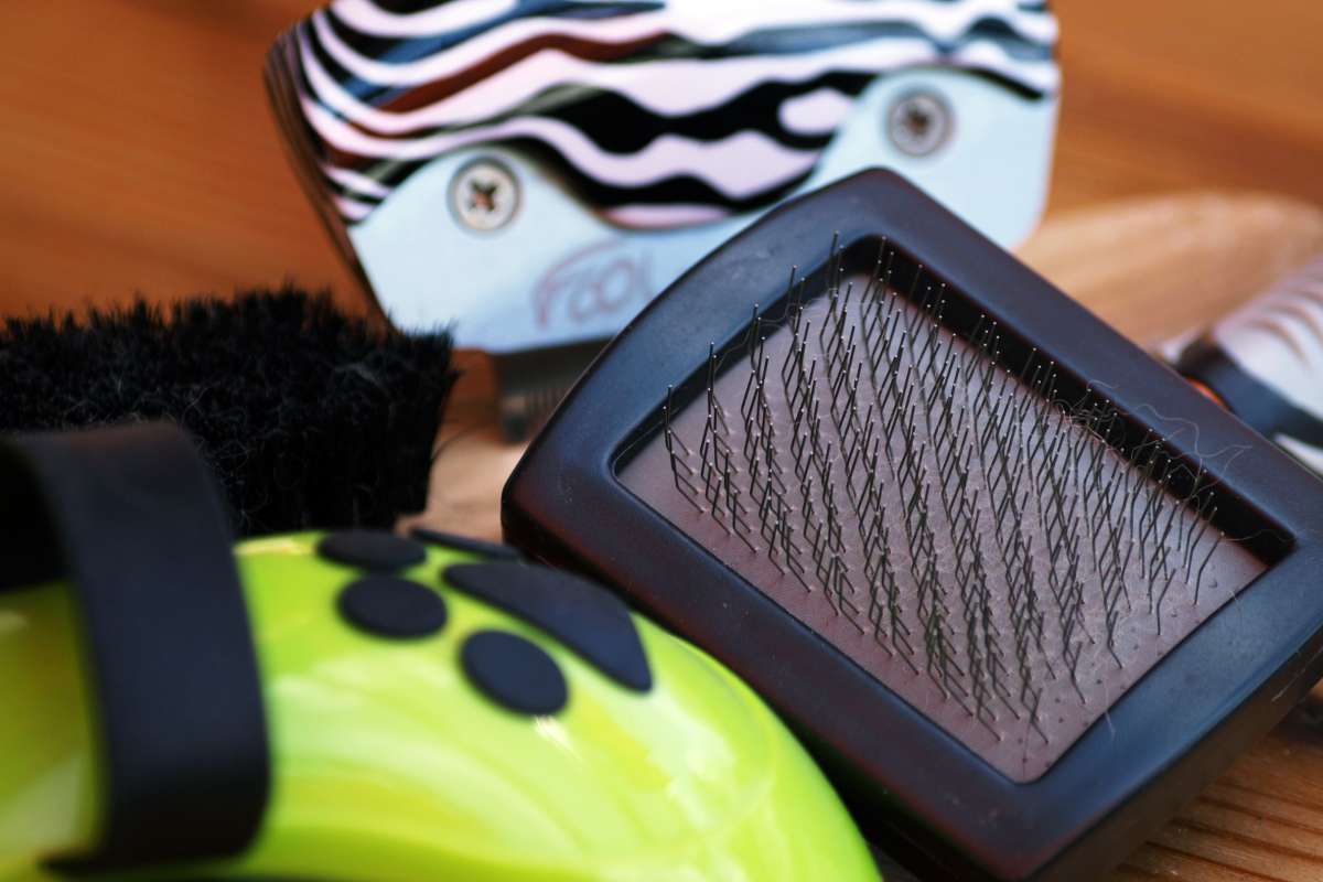 Hilfe mein Hund lässt sich nicht kämmen! urban.dog