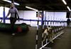 Hundeerzieher der Job am Hund