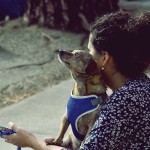 Adoption - Ein Hund will gerettet werden