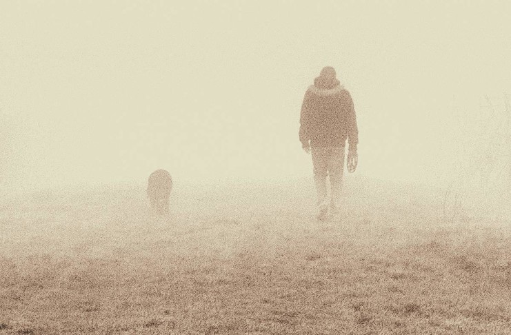 Therapiekonzept mit Tierheimhunden