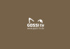 GASSI TV - Internet TV für Hunde
