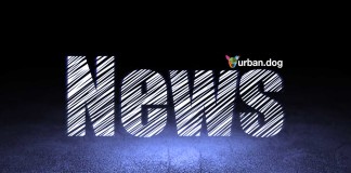 UrbanDog News