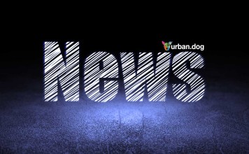 UrbanDog News