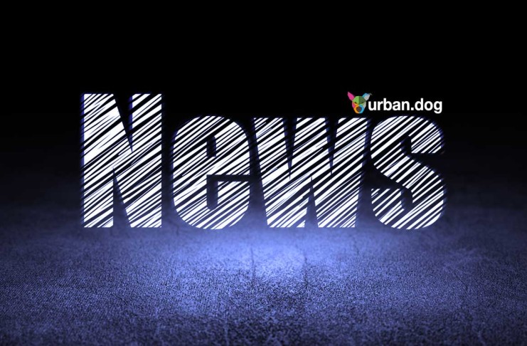 Feuerwehr in Sonneberg rettet Hund aus tiefem Schlamm UrbanDog News