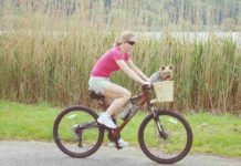 Radtour mit Hund