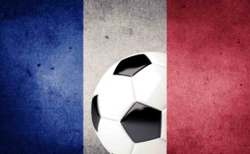 Einreisebestimmungen: Fußball Europameisterschaft 2016 in Frankreich mit Hund