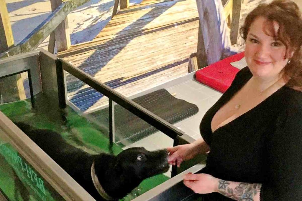 Physiotherapie beim Hund kein Scherz! urban.dog