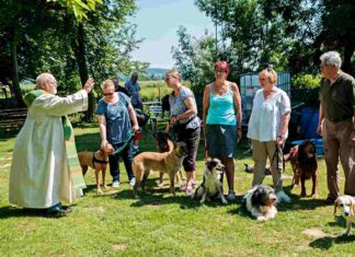 Hundesegnung in Springe