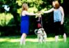 Dog-Sharing Ob Job oder ständige Reisen - Nicht immer bleibt genug Zeit für den eigenen Hund.