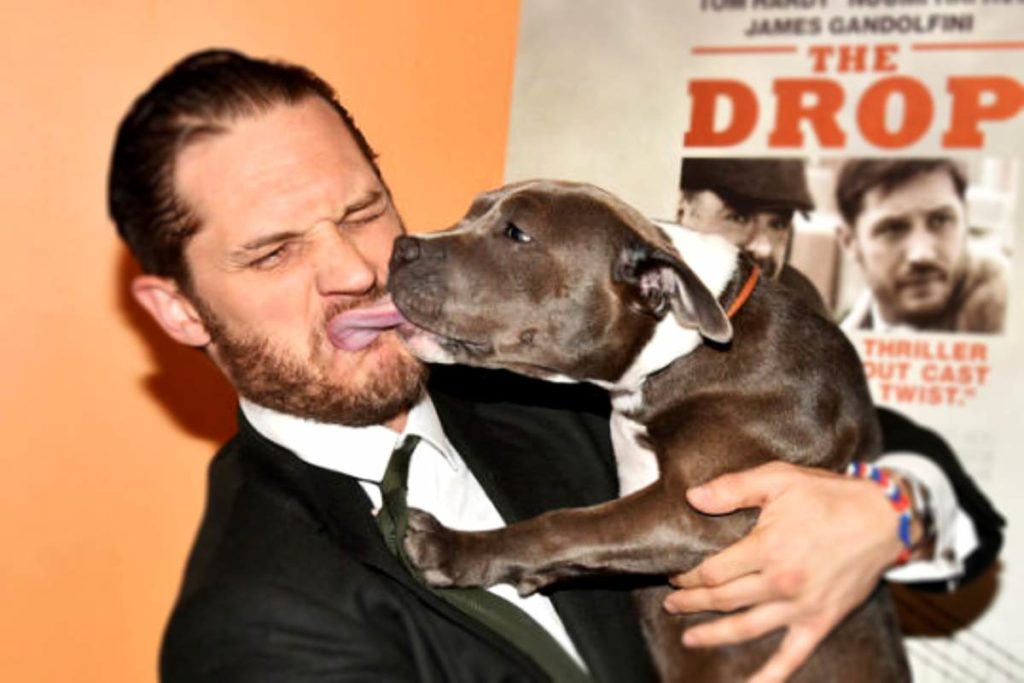 via 9gag-Tom-Hardy-Hunde-lecken-urban-dog