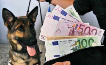 Banknotenspürhunde für Griechenland