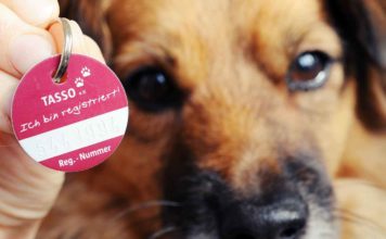 War das Hunderegister in Niedersachsen ein Fehler?