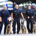 Diensthunde und Hundeführer der Bundespolizei