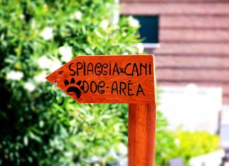 Bello in Italia - Mit Hund am Strand aber nicht ins Meer