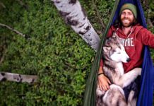 Kennst du Loki den Wolfhund? Komm mit auf eine wunderbare Bilderreise!