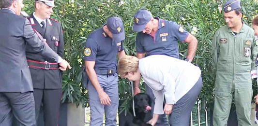 Merkel, Renzi und Papst Franziskus ehren Spürhund Leo für seinen Einsatz