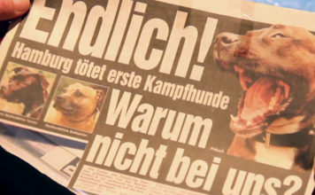 Freund oder Feind - Ein Film über Mensch-Hund-Beziehung