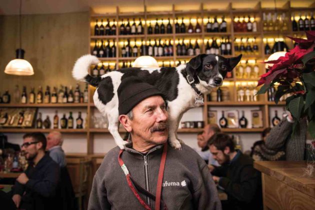 Die Hunde von Venedig: Der Pudel trägt Prada