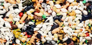 Animal Hoarding: Wenn Menschen krankhaft Tiere horten
