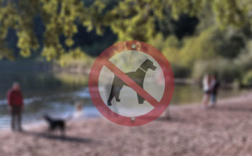 Hundeauslaufgebiet Grunewaldsee - Bye Bye Hundeauslaufgebiet?