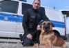 Kein Pardon für Langfinger: Polizeihund Ivo hat den Dreh raus