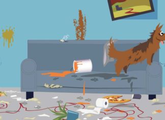 Buchtipp: Dein Hund-Deine Chance