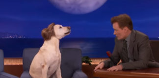 Conan O'Brien macht sich mit Hund über Gosling-Gate bei Goldener Kamera lustig