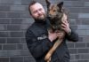 Mit Hund auf Verbrecherjagd