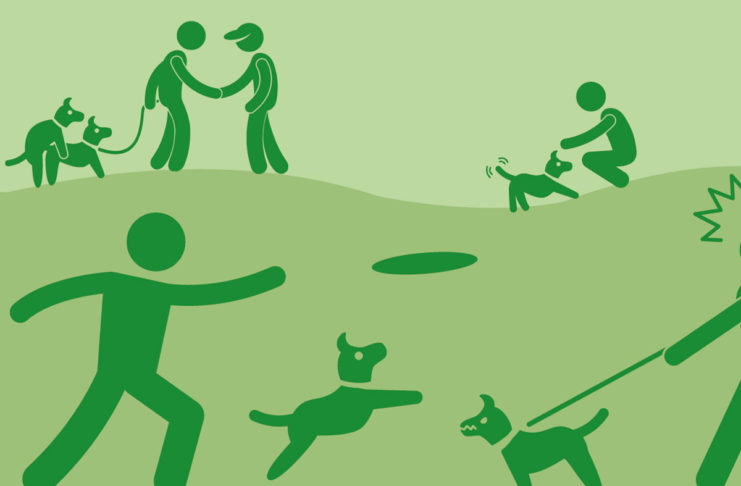 Steuertipps für Hundebesitzer: Hundehaftpflicht steuerlich absetzbar Steuertipps für Hundebesitzer: Hundehaftpflicht steuerlich absetzbar