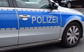 Unfall mit toten Hunden - Fahrerin war Tierschützerin