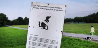 Hundekot auf Äckern - Bauern sorgen sich um Lebensmittel-Hygiene