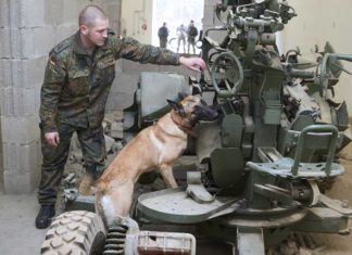Therapie auf vier Pfoten - Noch mehr Jobs für Hunde der Bundeswehr