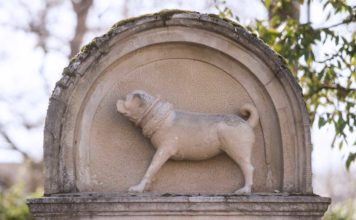 Zu schön, um wahr zu sein: Die 300 Jahre alte Legende vom treuen Mops