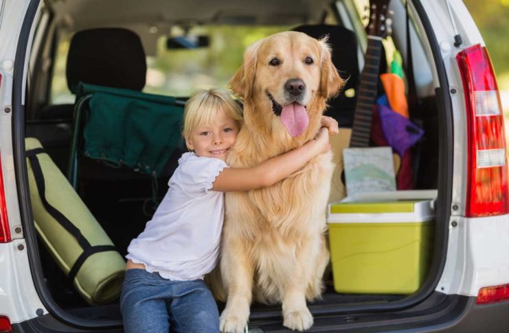 Für eine gute Reise mit dem Hund - Was auf keinen Fall im Koffer fehlen darf!