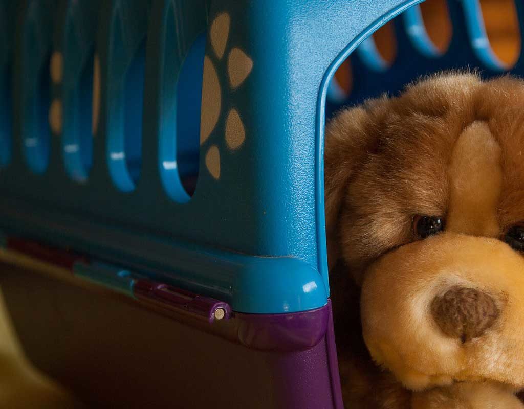 Hunde im Auto am besten in einer Transportbox
