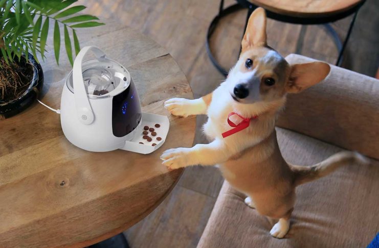 Der vernetzte Hund - Smarter Tracker und Funkhalsband vorgestellt