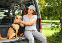 Die richtige Zeckenvorsorge für Menschen und Hunde